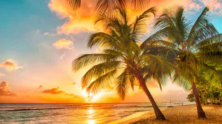 MSC Seashore - Caribbean